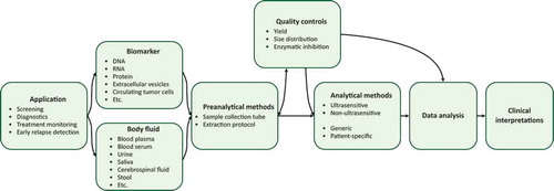 Figure 1. Overview over the ctDNA analytical workflow. The schematic overview illustrates dependencies between study design and experimental choices