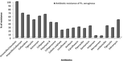 Figure 1 Antibiotic resistance pattern of all isolated P. aeruginosa isolates.