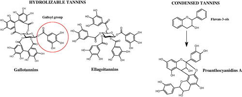 Figure 6. Chemical classification of tannins.