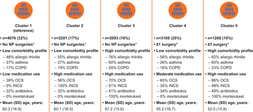 Figure 2 Characterization of LCA clusters. *In the 12 months following the index date.