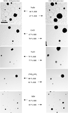 FIG. 2 Images of each salt taken immediately before and after deliquescence at ∼ 279 K. The NaBr and CsCl particles are imaged on lacey carbon substrates whereas the other salts are imaged on substrates with continuous carbon films. A change in particle morphology occurs at RH values greater than the DRH for each of the salt particles.