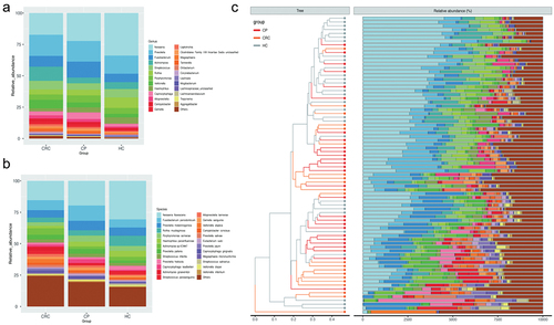 Figure 1.  Comparison of relative abundance among each group. (a) Relative abundance of tongue coating microbiota at the genus level. (b) Relative abundance of tongue coating microbiota at the species level. (c) Heat map plot of relative abundance of the top 25 species in each sample (The legend of panel c in this figure is as same as the legend of panel b).