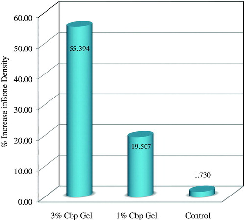 Figure 7. Percentage increase in bone density after local application of PTX Cbp based gels after two months in rabbits.