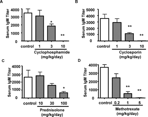 FIG. 4 Effect of immunosuppressive agents on IgM antibody response to SRBC. Rats were treated orally with cyclophosphamide, cyclosporine, prednisolone, or methotrexate for 14 consecutive days. Serum samples were collected at Day 15. The vertical axis shows the serum IgM titer required to yield a value of OD = 1.0. Each bar represents the mean ± SE of 10 animals. Asterisks indicate the value is significantly different from SRBC-immunized vehicle control group (*p < 0.05; ** p < 0.01).