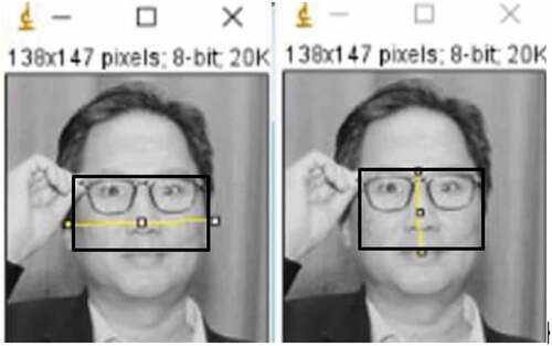 Figure 3. Male CEO Masculinity Face Measurement (fWHR).