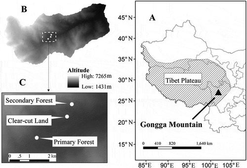 Figure 1 (a) Location of Gongga Mountain, (b) map of eastern slope of Gongga Mountain and (c) location of study sites.
