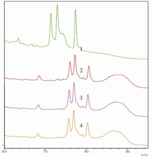 Figure 2. RP-HPLC analysis of soybean 7S globulin treated with ultrasound following the deglycosylation. 1: Native; 2: Deglycosylation; 3: Ultrasound 80 min assisted deglycosylation; 4: Ultrasound 100 min assisted deglycosylation.