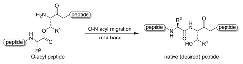 Figure 8. O-N intramolecular acyl migration reactions