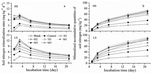 Figure 2. Mineralization rates (a) and accumulative quantities (b) of soil nitrogen under different fertilization treatments.