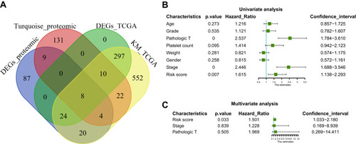 Figure 4 Construction and assessment of pivotal genes for predicting progression. (A) The common genes between our DEGs, proteomic turquoise module, TCGA cohort DEGs and TCGA cohort KM of LIHC. (B) Univariate-Cox regression analysis for screening appropriate and significant features into final nomogram model (C) Multivariate-Cox regression analysis for screening appropriate and significant features into final nomogram model.