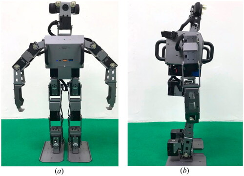 Figure 6. Humanoid robot: (a) front view and (b) side view.