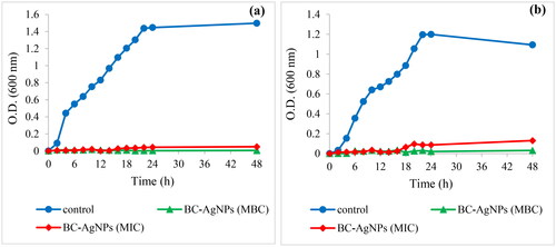 Figure 11. Growth curves of E. coli (a) and S. aureus (b) exposed to the BC-AgNPs composite material with different concentrations in culture medium for 48 h.