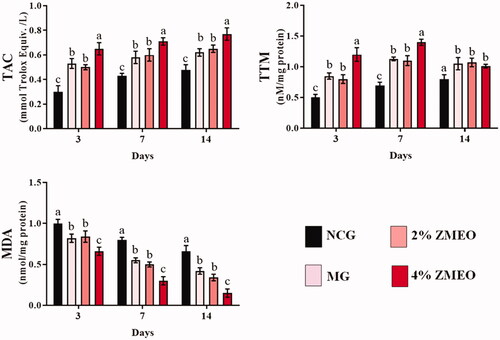 Figure 7. The effects of topical application of ZMEO on antioxidant properties. Superscripts (a–d) indicate significant differences in same day at p < 0.05.