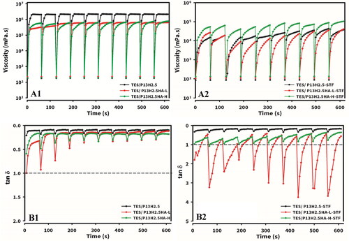 Figure 6. Viscosity (A1 and A2) and tanδ (B1 and B2) under simulated eye blinking for TES/HPβCD in situ gels based on poloxamer (13%) and HPMC (2.5%) with the addition of either 0.3% HA-L or 0.3% HA-H without (A1 and B1) or with (A2 and B2) STF dilution at a ratio of 40:7 by exposing alternatively to a high shear rate of 5000 s − 1 for 1 s, immediately followed by measurements at a low destructive shear rate of 0.03 s − 1 for 1 min for the determination of viscosity or immediately followed by measurements at a nondestructive shear rate for 1 min at an frequency of 1.0 Hz and an amplitude of 0.1% for the determination of tanδ at 34 °C.