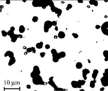 FIG. 5. Image of particles deposited on the glass side wall (Powder A).