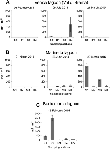 Figure 5. Polydora cornuta mean densities measured at each sampling station at each sampling time. A, Venice lagoon (Val di Brenta); B, Marinetta lagoon; C, Barbamarco lagoon. Error bars are standard errors (n = 3).