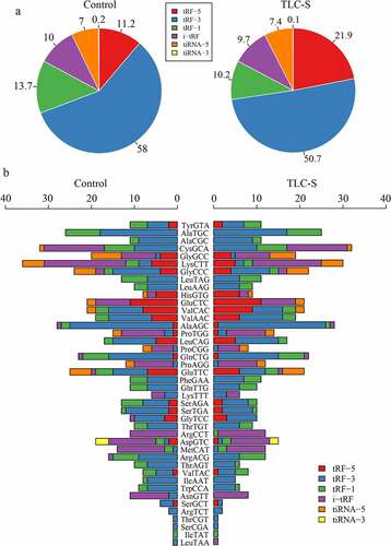 Figure 7. The distribution of six tRF/tiRNA types in PAITA. a, Overall distribution of six tRF/tiRNA types. b, Distribution of six tRF/tiRNA types in each tRNA.