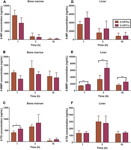 Figure 7 The concentrations of 6-MP (A and D), 6-MMP (B and E), 6-TG (C and F) in bone marrow and liver, respectively, after treatment with 15.75 mg/kg of 6-MPNs and 6-MPCs in SD rats (n = 6) (*P < 0.05; ** P < 0.01).