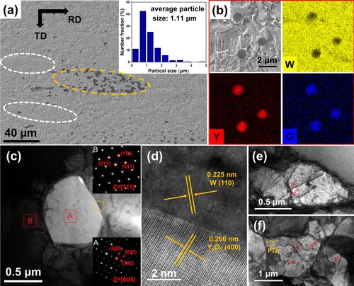 Figure 4. (a) Distribution of oxide particles, the inset is the particle size distribution statistics, (b) EDS spectrum of oxide particles, including W, Y and O elements, (c) TEM image and the corresponding SAED patterns of oxide particle (marked with A) and W matrix (marked with B), (d) HRTEM image of the interface between matrix and particle (yellow circle in c), (e, f) tangled dislocations denoted by red arrows.