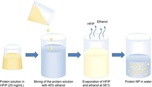 Figure 1 Scheme of fabrication of protein NP.Abbreviations: HFIP, 1,1,1,3,3,3-hexafluoroisopropanol; NP, nanoparticles.