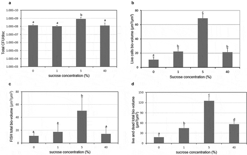 Figure 5. Comparison of the live and total bacteria cells in the multispecies biofilm. (A) Total bacteria counts (based on the data in Figure 2). (B) Bio-volume of live cells. (C) Bio-volume of total cells in FISH study (based on the data in Figure 3B). (D) Bio-volume of total cells in live/dead study (based on the data in Figure 4B). Values followed by the same superscripts are not significantly different from each other (P > 0.05)