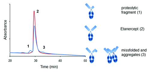 Figure 1. Elution profile of Etanercept on a butyl NPR HIC-HPLC column at initial and after one month at 40 °C (blue and red traces, respectively). Species eluting under each peak (numbered 1, 2, and 3) are shown in cartoon as per ref. Citation10.