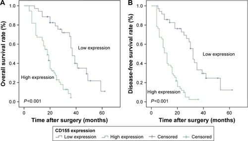 Figure 5 Kaplan–Meier analysis of OS and DFS curves of CCA patients based on CD155 expression as high or low.