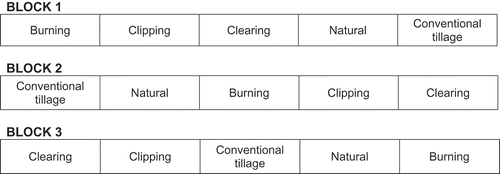 Figure 2. Layout of the green house experiment showing five treatments similar to those imposed in the field in Chiota..Conventional tillage – soils were taken from plots that were tilled using hoes; clipping – soils were taken from plots where vegetation was cut using sickles to 5 cm above ground; clearing – soils were taken from plots where vegetation was scrapped off using hoes; burning – oils were taken from plots where vegetation was set on fire; natural state – control treatment.