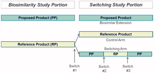 Figure 1. Switching study to support demonstration of interchangeability. The FDA requires a switching study evaluating two or more alternating switches in order to meet the legal requirement that the risk in terms of safety or diminished efficacy of alternating or switching between the proposed interchangeable product (PP) and the reference product (RP) is not greater than the risk of using the reference product without such alternation or switch. The primary endpoint to support a designation of interchangeability should assess the impact of switching or alternating between the proposed interchangeable product and the reference product; the FDA considers that clinical pharmacokinetics (PK) endpoints are generally the most sensitive to assess the development of clinically important immunogenicity that may arise as a result of alternating. In addition to PK parameters, assessment of immunogenicity and safety is expected.