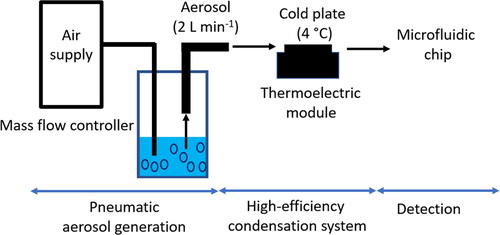 Figure 4. Schematic diagram of a system consisting of a pneumatic aerosol generation system, high-efficient condenser and a microfluidic chip for ATP extraction and detection of bioluminescence adapted from Lee et al.[Citation386]