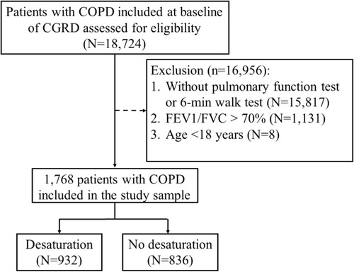 Figure 1 Flowchart of the study design and patients with chronic obstructive pulmonary disease (COPD) who performed the 6-min walk test (6MWT).