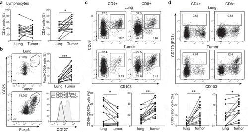 Figure 5. T cell composition is altered in the tumor lesions. (a–d) Tumor tissue and of normal lung tissue digests were analysed directly ex vivo by flow cytometry to determine the expression of CD3+CD4+ (left panels) and of CD3+CD8+ T cells (right panels) within the lymphocyte population (a), of CD4+CD25+ Foxp3+ T cells (b), of CD69+CD103+ T cells (c) and of CD279+ T cells (d). Data are shown as representative dot plots and compiled data of all 17 patients. In (b) a representative histogram is shown of CD127 expression on tumor derived CD25+Foxp3+CD4+ T cells versus conventional FoxP3−CD4+ T cells. [Paired student’s T test; * p < .05; ** p < .01; *** p < .001. If no indication, p ≥ 0.05].