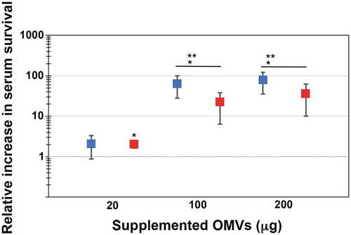 Figure 1. Enhanced serum survival of A. actinomycetemcomitans strain D7SS ompA1 ompA2 upon supplementation of OMVs. A. actinomycetemcomitans cells were incubated in 50% normal human serum (NHS) at 37°C for 1 h. The assay was performed in the absence or presence of 20, 100, and 200 μg of OMVs, respectively, as indicated. Bacterial serum survival was determined by viable count, and shown is the increase (fold change) in survival relative to incubations in vesicle-free controls (50% NHS in PBS). Supplemented OMVs were obtained from the wild-type strain D7SS (blue squares), and D7SS ompA1 ompA2 (red squares), respectively. Shown are means ± SEM from four independent experiments. *P < 0.05 vs control. **P < 0.05 vs supplementation of 20 μg of OMVs. P > 0.05, D7SS OMVs vs D7SS ompA1 ompA2 OMVs