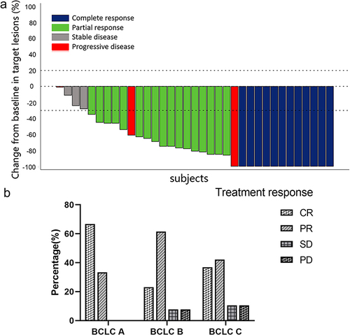 Figure 3 (a) Waterfall chart of target tumor response produced by investigator using the mRECIST criteria. (b) Tumor responses according to the mRECIST criteria for different BCLC stage.