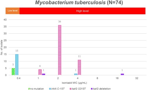 Figure 2 Isoniazid MIC distribution and gene mutations of Mycobacterium tuberculosis.
