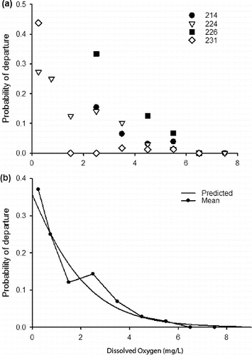 FIGURE 2. (a) The probability of each of four individual Largemouth Bass (designated by fish ID number) located within Bubbly Creek during the 2010 season to depart the area as DO levels decreased; symbols denote individual fish. (b) The results of the predictive model compared with the mean probabilities of departure for the four Largemouth Bass located within Bubbly Creek during the 2010 season.