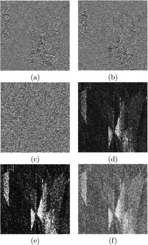 Figure 2. Sample SAR image in different data formats- (a) Real in-phase, (b) Quadrature imaginary, (c) phase, (d) Amplitude, (e) Intensity, (f) Log intensity (Oliver & Quegan, Citation2004).