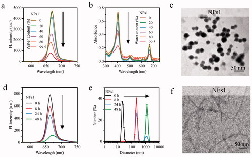 Figure 1. Self-assembly, and nano fibrillar transformation of smart peptide monomer GRGDLGRL-KLVFF-GGK-PheoA (P1). Fluorescent intensity (a) and absorbance (b) of NPs1 solutions with different water content (including 0%, 20%, 40%, 60%, 80%, 99.5%). The excitation wavelength was 405 nm. (c) TEM images of fresh NPs1 at the water and DMSO ratio of 995:5. Fluorescent intensity (d) and variation in size distribution (e) of NFs1 (NPs1 incubated with integrin αvβ6 protein at the molar ratio of 500:1) within 48 h. (f) TEM image of NFs1 transformed by initial NPs1 after incubation with αvβ6 protein for 24 h. The concentration of NPs1 related to these experiments was 20 µM, and all these experiments were repeated three times.