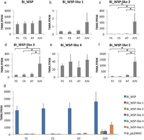 Figure 4. Gene expression of WSP homologues and Bi_pb29993 during settlement. (a–f) The relative expression of the WSP homologues; (g) The relative expression of the WSP homologues and Bi_pb29993. The order of the bars in the graph corresponds to the order of the names in the legend. FS: free-swimming, CS: close-search, AT: attached cyprid, JUV: juvenile.