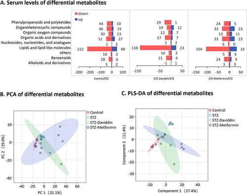 Figure 3 Serum levels of differential metabolites among four groups. (A) Serum levels of differential metabolites; (B) PCA of differential metabolites; (C) PLS-DA of differential metabolites.