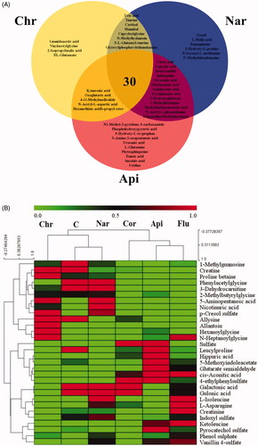 Figure 5. Venn diagram of metabolites showing the commonality and peculiarity between the Chr/Nar/Api groups (A); heatmap of the top 30-shared metabolites (B). The colours from green to red indicate the increasing level of metabolites. (Control (C)/Corticosterone (Cor)/Fluoxetine (Flu)/Chrysanthemum morifolium (Chr)/Naringenin (Nar)/Apigenin (Api) groups).