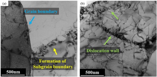 Figure 9. TEM results of the 2.0J sample taken at a distance of 100 µm from the treated surface: (a)image of formation of subgrain boundary; (b)image of dislocation wall.