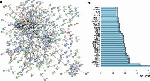 Figure 10. The PPI network of the related genes of TRPS1. (a) A total of 321 nodes and 849 edges were included in the PPI network; (b) The first thirty items with a maximum number of nodes. PPI, protein‑protein‑interaction