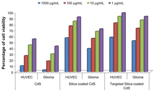 Figure 8 Effect of cadmium sulfide quantum dots (CdS QDs), silica-coated CdS QDs, and CD31-targeted silica-coated CdS QDs on human umbilical vein endothelial cell (HUVEC) and glioma cell viability.