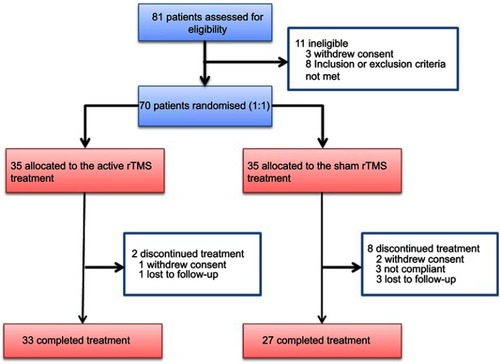 Figure 1 The study flow chart.Abbreviation: rTMS, repetitive transcranial magnetic stimulation.