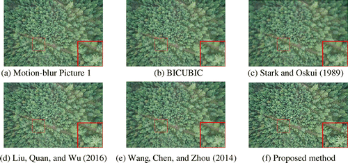 Figure 10. Image reconstruction results of the Motion-blur Picture 1.