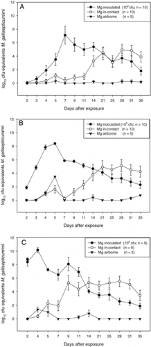 Figure 2. Excretion patterns (mean±standard error of the mean) of inoculated, in-contact and airborne-exposed birds after inoculation of 102 CFU Mg F1999 (2A), 105 CFU Mg F1999 (2B) or 108 CFU Mg F1999 (2C). 2C: n = 9 because one inoculated bird died at day 7 after contact. Mg, M. gallisepticum.