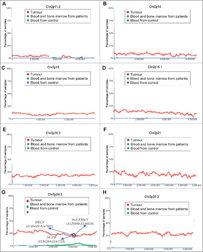 Figure 1. Chromosome 2p11.2-2p25.3 gain in human neuroblastoma tissues. SNP array data originally generated by the TARGET initiative (https://target-data.nci.nih.gov/) and the CHOP Copy Number Variance project were analysed. Chromosome amplification frequencies in neuroblastoma tissues, compared with blood and bone marrow samples from the neuroblastoma patients and blood samples from healthy children, at different regions of chromosome 2 were plotted against all genomic locations, including the following representative regions: Chr2p11.2 (A), Chr2p14 (B), Chr2p15 (C), Chr2p16.1 (D), Chr2p16.3 (E), Chr2p21 (F), Chr2p24.3 (G) and Chr2p25.3 (H). Tumour = tumour samples; Blood and bone marrow from patients = normal blood and bone marrow samples from neuroblastoma patients; Blood from control = blood samples from heathy children from The Children's Hospital of Philadelphia.