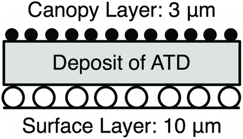 FIG. 1 Multilayer formation: canopy layer of 3-μm fluorescent particles, varying dust load deposit of Arizona Test Dust (ATD), and surface layer of 10-μm fluorescent particles.