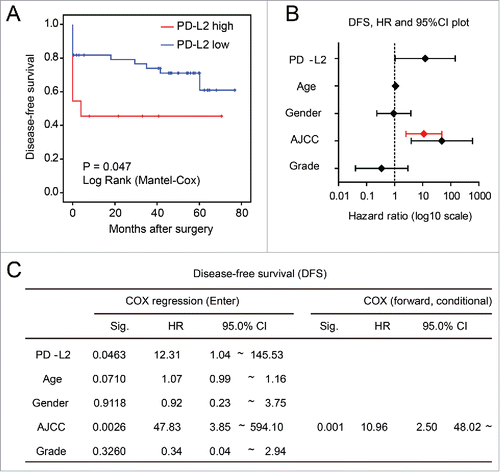 Figure 4. Association between worse disease-free survival (DFS) and overexpression of PD-L2 in tumor cells. (A) Univariate analysis of DFS in patients stratified according to the PD-L2 expression level. The p value is shown. (B) and (C) The multivariate COX regression model for the DFS of CRC patients, with hazard ratios plotted in (B). The hazard ratio and 95%CI in the forward stepwise model is plotted in red. Detailed model parameters in the COX regression models are shown in (C).